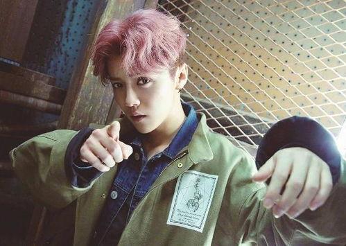 鹿晗爆料视频大全,揭秘明星幕后生活点滴